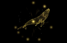 Uno de los contenidos publicado en el Mercado de la Ribera